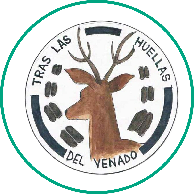 Tras las huellas del venado